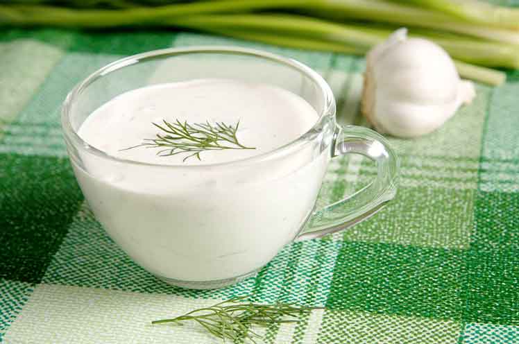 Yoghurt Mayonaise